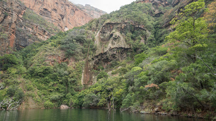 Fototapeta na wymiar An image of King Kong appears in the jungle of Blyde River canyon in South Africa. 