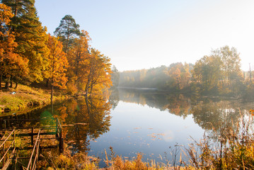 Sunny morning in the autumn forest by the lake