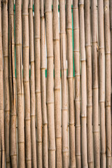 Natural Bamboo Fence