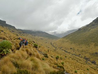 Hikers in the Mackinder's Valley, Mount Kenya