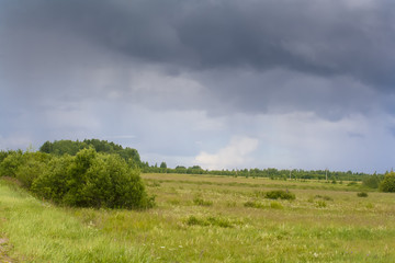 the meadow before the storm