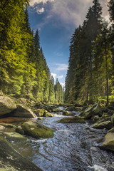 river Vydra in Sumava mountains