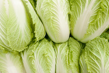 Seven light green heads of Napa cabbage forming an overall pattern