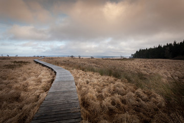 Autumn walk in the Hautes Fagnes
