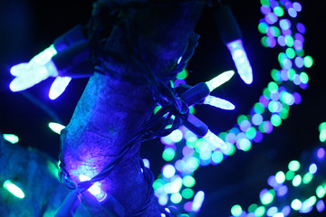 Blue Christmas Lights