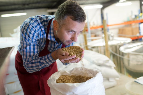 worker smelling the grains