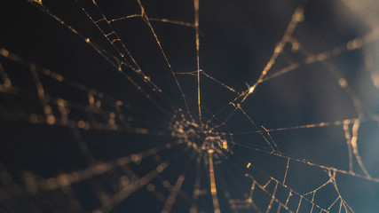 Netz