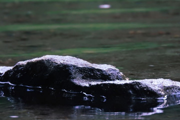 Close Up Rock in Water