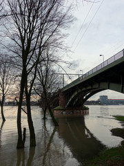Blick von Poller Wiesen auf Südbrücke bei Rhein-Hochwasser