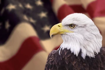 Crédence de cuisine en plexiglas Aigle Pygargue à tête blanche et Statue de la liberté avec le drapeau américain flou