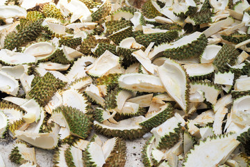 Sliced Durian Peel background.