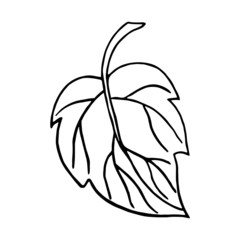 Leaf cartoon illustration isolated on white background for children color book