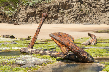 Old, rusty, lost anchors at low tide at Wreck Bay, Victoria, Australia. © Steve