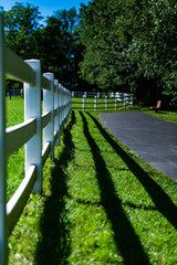 Fence and Path