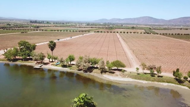 lake and field