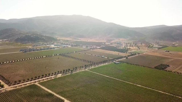 Wine Contry 