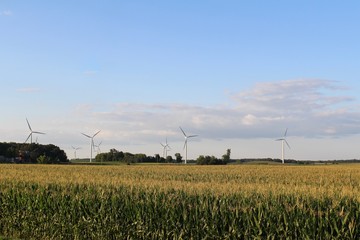 Renewable energy wind turbines in a rural agricultural farmland setting