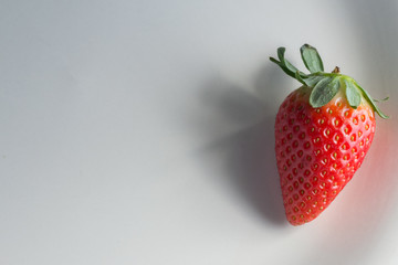 Fresh strawberry isolated in the white plate ade of porcelain 
