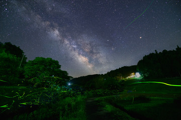 ゲンジボタルと天の川