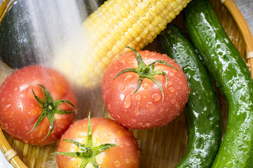 みずみずしい夏野菜