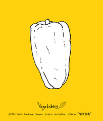 농산물 일러스트 / 손으로 그린 과일과 채소 그림