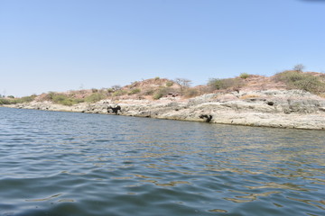 Fototapeta na wymiar kalyana lake jodhpur rajasthan india