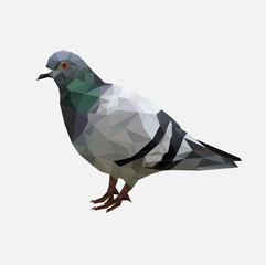Low poly pigeon bird on gray back ground,animal geometric concept,Abstract vector	