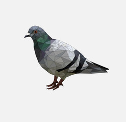 Low poly pigeon bird on gray back ground,animal geometric concept,Abstract vector	