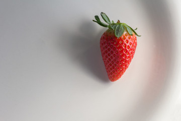 Fresh strawberry isolated in the white plate ade of porcelain 