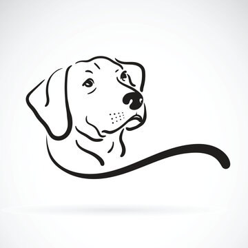 Vector of labrador dog head design on white background., Pet., Animals. Easy editable layered vector illustration.
