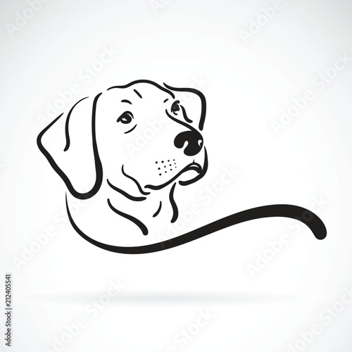 Easy Simple Labrador Drawing