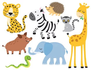 Foto op geborsteld aluminium Zoo Vectorillustratie van schattige wilde dieren, waaronder luipaard, zebra, giraffe, olifant, zwijnen, egel, slang, olifant en maki.
