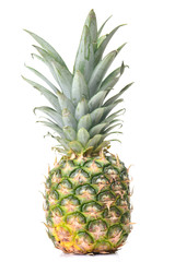 Fototapeta premium Fresh pineapple
