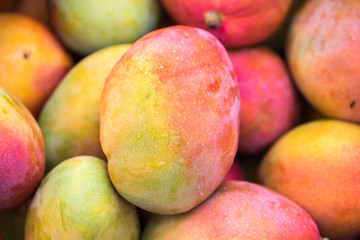 Backround of new harvest mango for sale at city market
