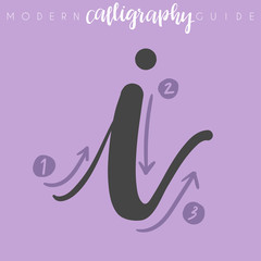 Modern Calligraphy Guide : Vector Illustration