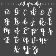 Modern Calligraphy Guide : Vector Illustration