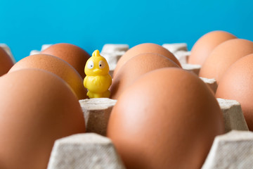 Big chicken eggs in a cardboard box and a small yellow toy chicken among them. Close up