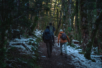 People hiking in a snowy forest. kahurangi national park, New Zealand.