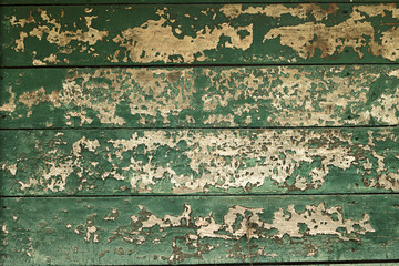 Old painted wood wall. Green texture background
