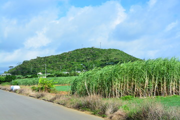 Fototapeta na wymiar 沖縄小浜島の景観