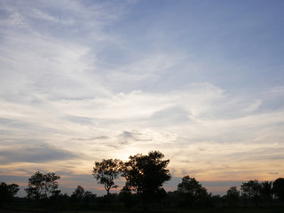 Beautiful Sunset, sunlight and tree field landscape in the evening.