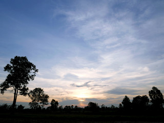 Beautiful Sunset, sunlight and tree field landscape in the evening.