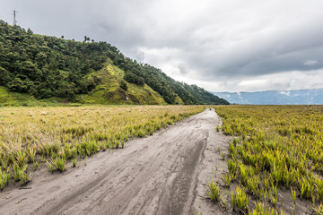 Fototapeta na wymiar path through grassland under cloudy sky with mountain as background