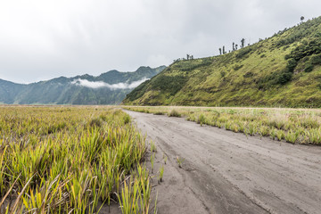 Fototapeta na wymiar path through grassland under cloudy sky with mountain as background