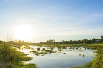 The lake between paddy field with sunset sky, light sunset is reflection to flare