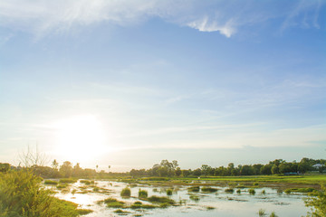 The lake between paddy field with sunset sky, light sunset is reflection to flare