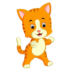 Fototapeta premium cute cat cartoon