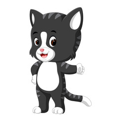 cute cat cartoon