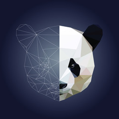 Low poly and wireframe panda face on white background, vector illustration EPS 10 isolated.  Polygonal style trendy modern logo design. Suitable for printing on a t-shirt or sweatshirt, shirt design. © Oomi