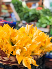 bush of pumpkin flowers in a basket at the market